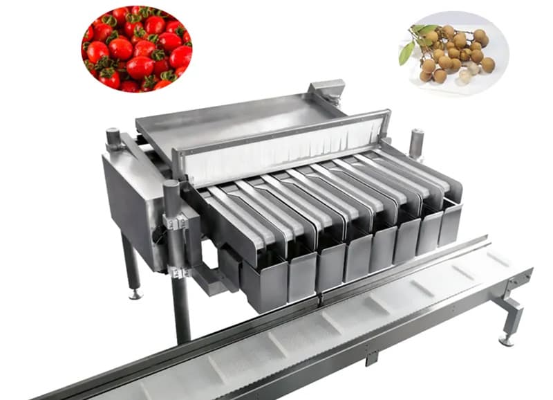 images/1735026453099pesadora y envasadora de cerezas.jpg